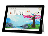 墨玉Surface 无法开启、Windows 无法启动或电池无法充电